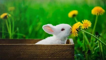 欢迎使用Z-BlogPHP！